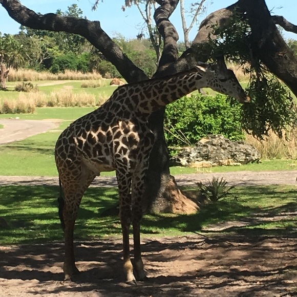 Meet your Posher, Jen - Picture 1 of 1